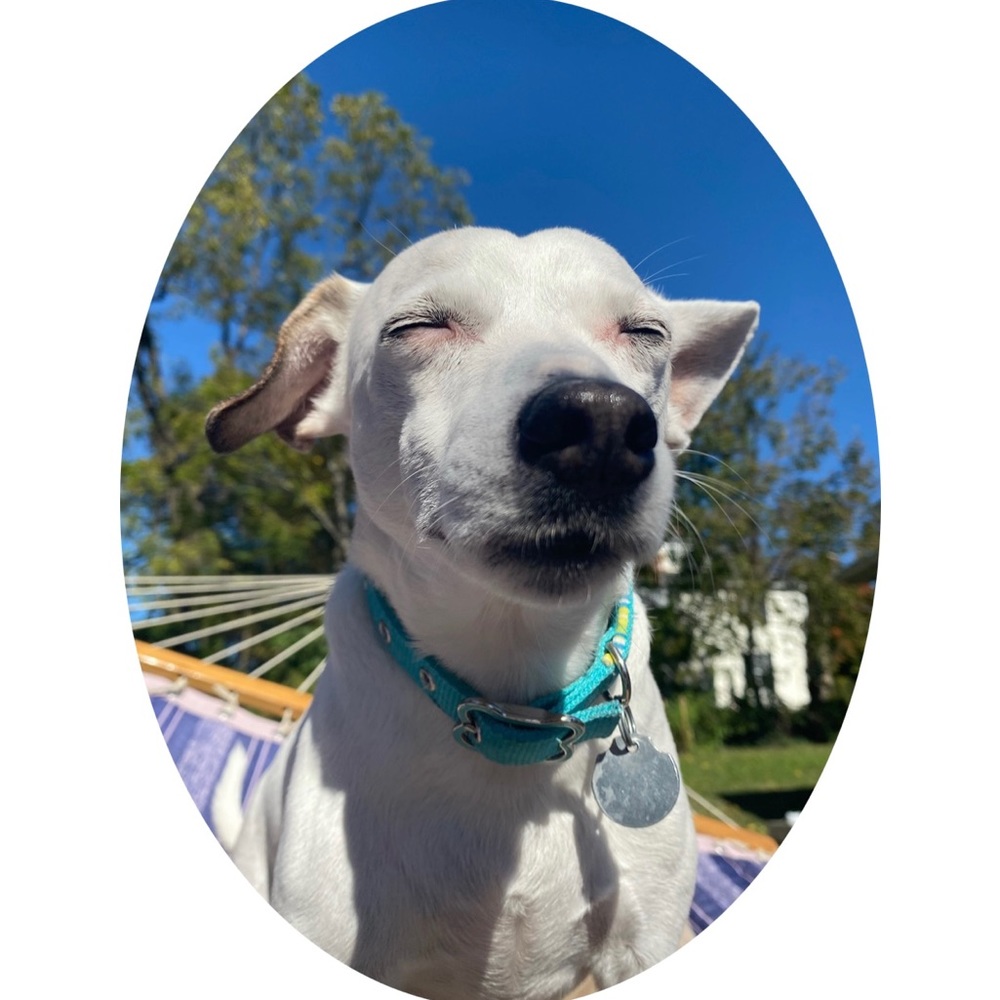Meet your Posher, Monica